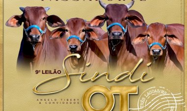 9° Leilão Sindi OT