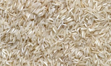 Produtores seguram arroz no RS à espera de preços melhores