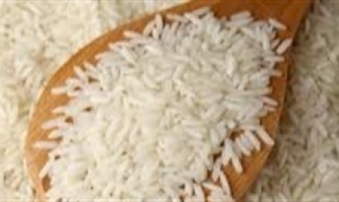 Estudo aponta dose ideal de nitrogênio no arroz