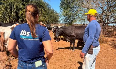Cargill, IBS e Cooperleite firmam parceria para fortalecer cadeia do leite na Bahia