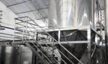 Produto cearense que une leite de cabra e água de coco ganha nova usina de fabricação
