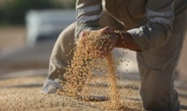 Cadastro para plantio antecipado começa na Bahia