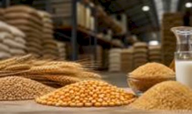 Lácteos recuam 0,7porcento no Índice de Alimentos da FAO, puxados por manteiga e leite em pó