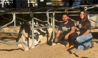 Fazenda Belluzzi vira fenômeno nas redes com produção guiada por dados e economia circular