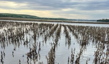 Entidades do agro cobram celeridade na operacionalização da MP das dívidas rurais
