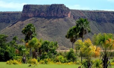 Um ano após impasse, setor produtivo entra na discussão para reformulação do ZEE no Tocantins
