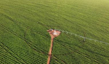 Receita Federal amplia atenção sobre arrendamentos rurais; veja os cuidados