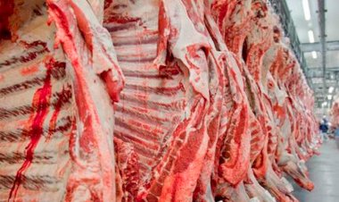 Carne bovina: frigoríficos de MT aumentam exportações para a Espanha em 172porcento em jul/26