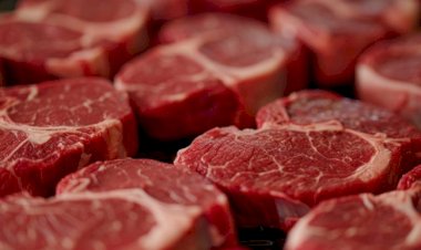 Carne bovina: senadores dos EUA questionam deslize estatístico do USDA