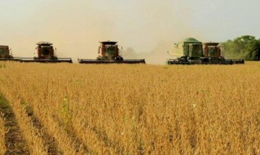 Agro responde por quase 94porcento das exportações do Tocantins e movimenta US$ 1,13 bilhão