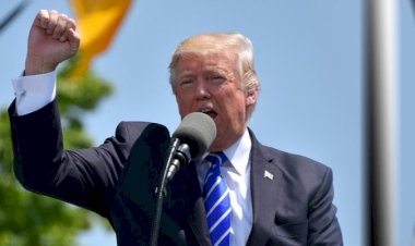 Carne bovina: indústria dos EUA se opõe ao novo plano de importação de Trump