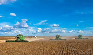 Três estados do Matopiba somam cerca de 5 milhões de hectares de soja, aponta levantamento