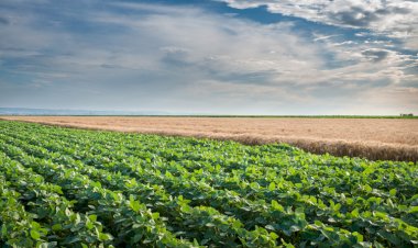 Embrapa reúne 163 medidas para reduzir riscos climáticos na agropecuária