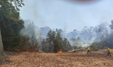 Produtores rurais devem se adequar a novas regras de prevenção a incêndios; entenda as exigências