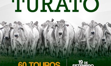 LEILÃO NELORE TURATO