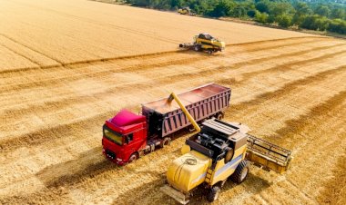 Cotações Agropecuárias