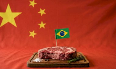 Efeito-China: exportações de carne bovina brasileira in natura recuam 27porcento em agosto/26