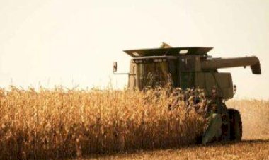 Mercados agrícolas iniciam dia com sinais mistos
