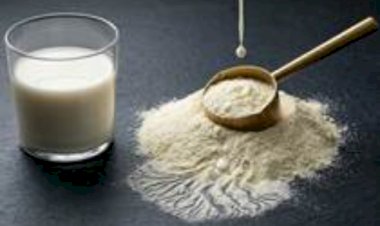 Do GLP-1 à terceira idade: inovação com proteína do leite dispara e Brasil é destaque mundial