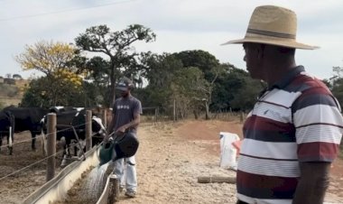De duas vacas a mil litros de leite por dia: família prospera na pecuária com apoio do Senar-Go