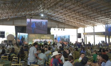 'Precisamos verticalizar a cadeia da soja para gerar mais valor na propriedade', afirma diretor da Fazenda Horizontina