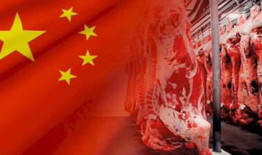 Brasil pode esgotar cota de carne bovina para a China até abril/27, prevê Abiec