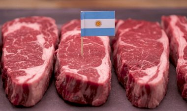 Carne bovina: com Brasil e Austrália fora do jogo, China abre janela rara para Argentina e Uruguai