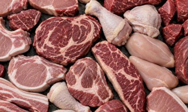 Brasil deve produzir mais de 34 milhões de toneladas de carnes, com avanço de frango e suínos