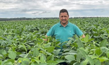 'Uma das profissões mais nobres': de ajudante do pai na fazenda a produtor de 12 mil hectares de soja em Goiás