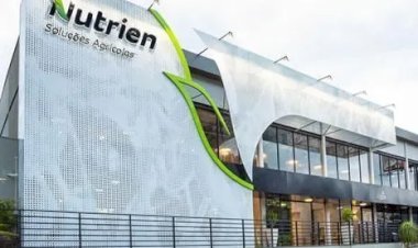 Exclusivo: Nutrien encerra operações em São Paulo e Mato Grosso do Sul