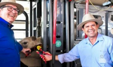 Rastreabilidade bovina avança no Tocantins com identificação de 250 animais em Tabocão