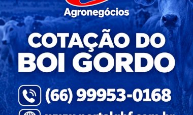 Leitura rápida: consulte os principais indicadores da pecuária