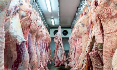 Ações migratórias atingem coração da pecuária dos EUA e ameaçam oferta de carne bovina