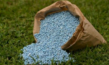 Alta dos fertilizantes exige atenção ao solo