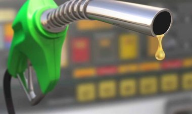 Uso de biodiesel puro avança em fazendas de Mato Grosso