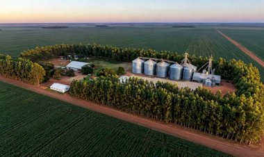 Sapezal ultrapassa Sorriso e vira potência agrícola nº 1 do Brasil, mas armazenagem ainda é desafio