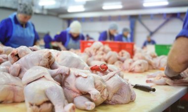 China exporta frango até 20porcento mais barato e ameaça mercado brasileiro