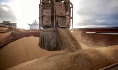 Soja tem previsão de exportação reduzida, mas milho pode crescer mais de 20porcento em outubro