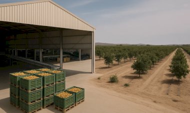 CNA discute exportações, capacitação e sanidade da fruticultura em Juazeiro
