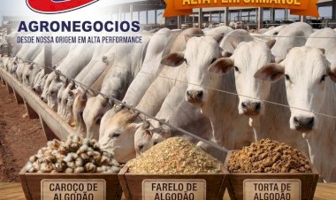 Programa de IATF gratuito beneficia pequenos produtores rurais em Sergipe