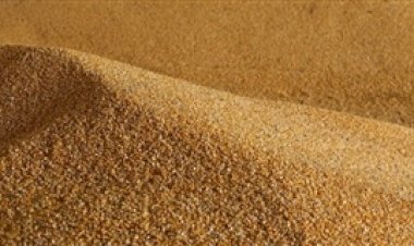 Preço do milho cai 3,82porcento em Mato Grosso em outubro