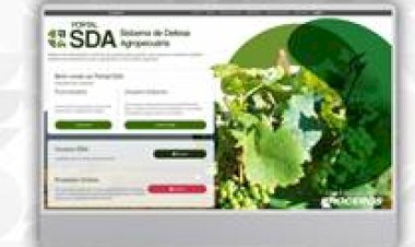 Vacinação contra brucelose no RS: Seapi digitaliza registro em sistema oficial
