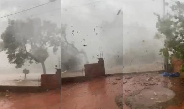 Ventania derruba árvores e deixa casas destelhadas durante temporal em Araguaína