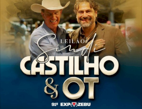 Leilão Sindi Castilho e OT