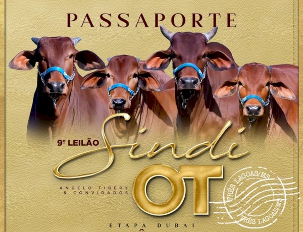 9° Leilão Sindi OT