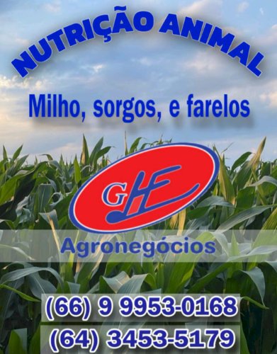 Cotações do agro brasileiro, veja aqui no portal GHF