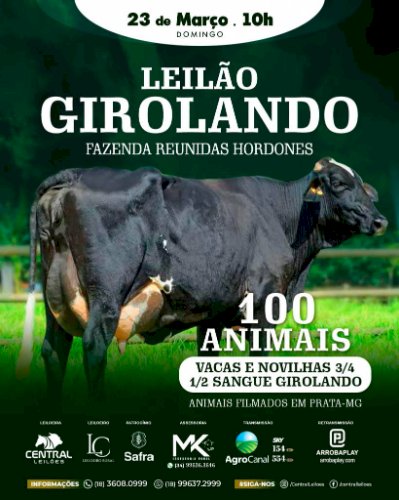 LEILÃO GIROLANDO - FAZENDA REUNIDAS HORDONES