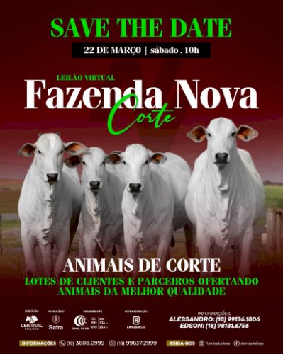 LEILÃO VIRTUAL FAZENDA NOVA - CORTE