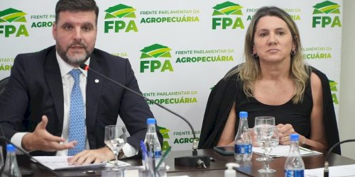 Setor produtivo e FPA sugerem ações para reduzir inflação de alimentos