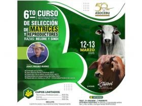 ABCZ participa do 6º Curso Internacional de Selección de Matrices y Reproductores, promovido pela Asocebu Bolívia